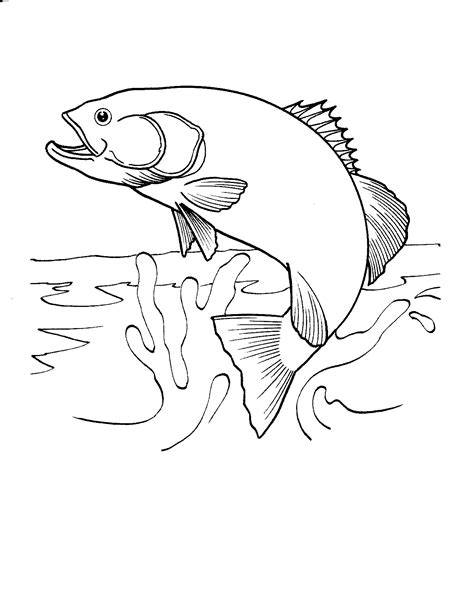 Free Printable Fish Coloring Pages For Kids