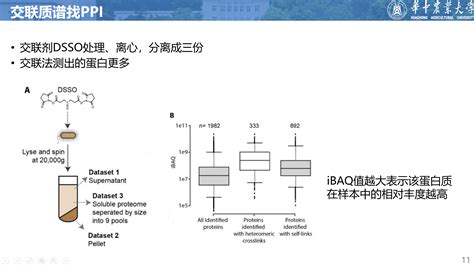 【结构生物学】基于ai辅助的结构蛋白质组学研究细胞内的蛋白质复合体 Csdn博客