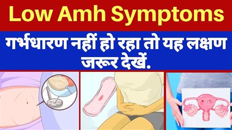 Low Amh Symptoms L L