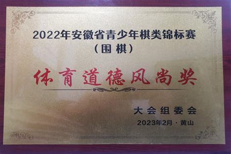 合肥46中海恒分校学子在2022年安徽省青少年棋类锦标赛中喜获佳绩中国网