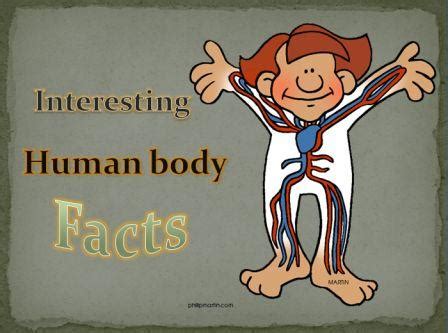 Interesting Human Body facts | Information