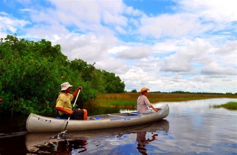 Everglades Tours Eco Tours Everglades Adventure Tours Everglades