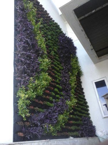 Vertical Gardening Green Wall At Rs Square Feet Green Walls In