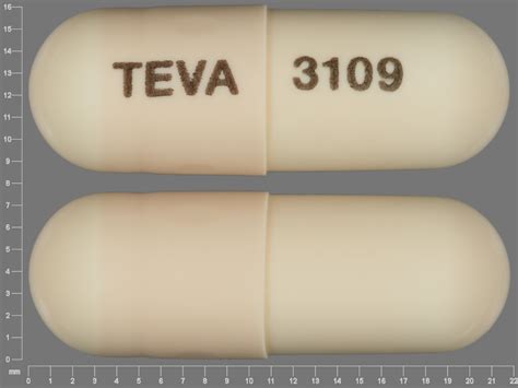 Pill Identifier Amoxicillin Size Shape Imprints And Color