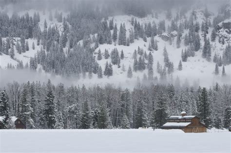 Winter Weather Warnings For 7 States As 24 Inches Of Snow To Hit Newsweek