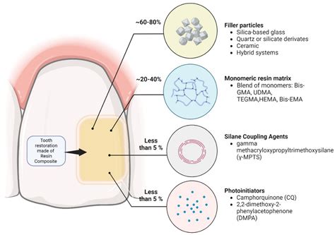 Seeking Endurance: Designing Smart Dental Materials for Tooth