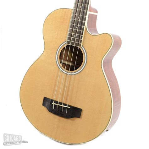 Washburn AB5K Acoustic Bass Natural – Chicago Music Exchange