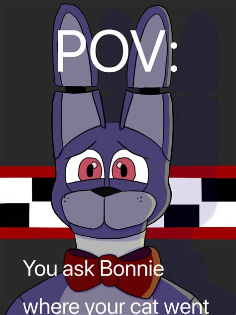 Bonnie? [Meme] by H0tT0picHedgehog on DeviantArt