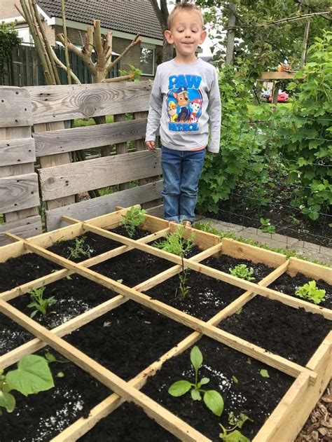 Een Vierkante Meter Moestuin Voor Chase Deedado