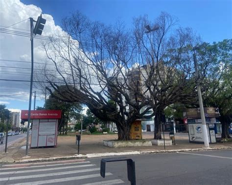 Rua Jos De Santana Ser Interditada Neste Domingo Para Retirada