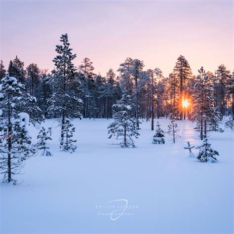 Fotoreise Schweden Im Winter Arr Reisen Natur Kultur Foto