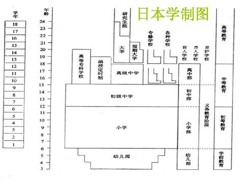 美国与日本的初等教育制度 比较 word文档在线阅读与下载 无忧文档