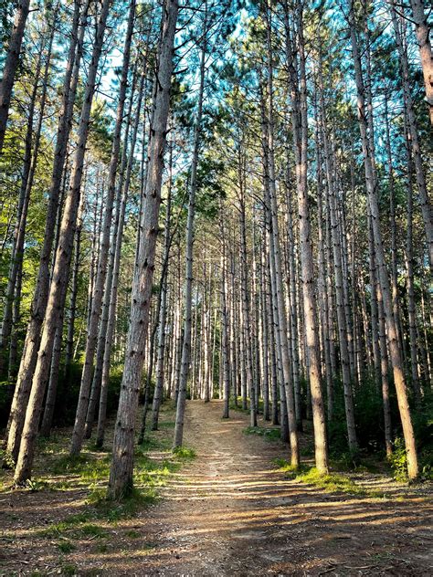 Deerfield Nature Park | Michigan