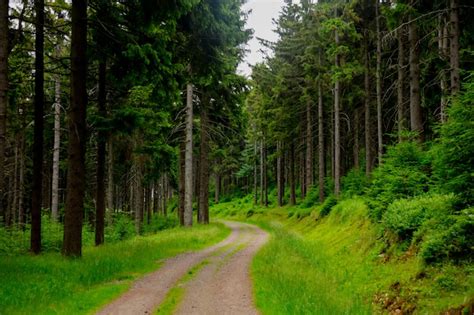 Premium Photo | Country road in sudetes mountains, poland