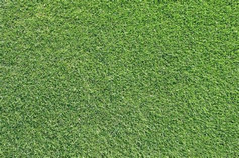 Premium Photo Beautiful Green Grass Texture From Golf Course