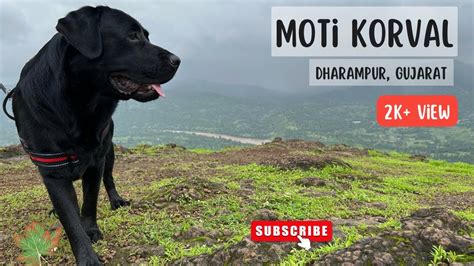 Moti Korval ⛰️ 1st Dogvlogger To Reach 🌧️🌳 🐾🐾 Sahyadri Hill Station ⛰