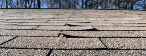 Shingle Roof Lifespan Factors That Affect The Longevity Of Your Roof