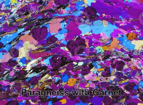 Paragneiss With Garnet Sole Valley Italy Thin Section In Cross