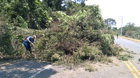 A Gazeta Rvore Cai E Rodovia Fica Interditada Por Mais De Horas Em