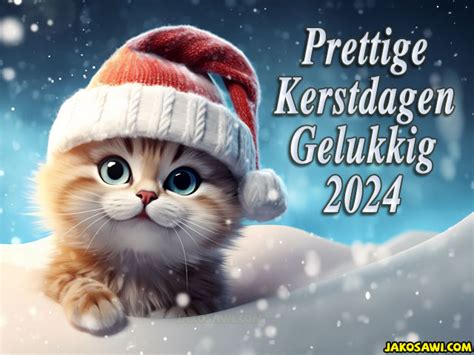 Jakosawi Gratis Wenskaarten E Cards Prettige Kerstdagen Kitten J