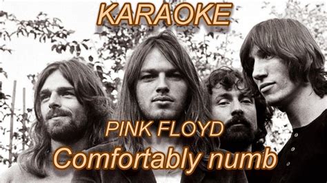 Pink Floyd Comfortably Numb Karaoke Cover Youtube