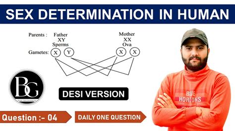 Class Biology Chapter Sex Determination Heredity And Evolution