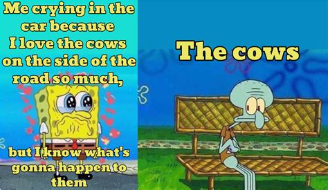 R Bikinibottomtwitter Spongebob Squarepants Know Your Meme