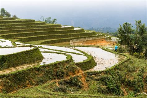 Hoang Lien National Park, Vietnam | For Instants