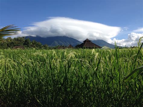 The Paralysis of Tourism and the Rise of Agriculture in Bali, Indonesia ...