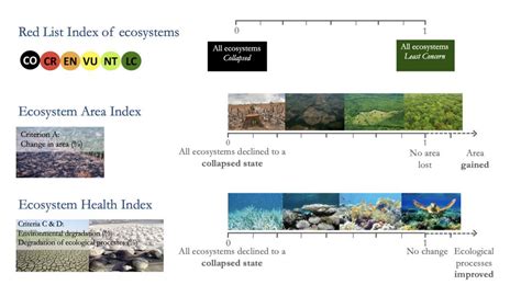 Ecosystem Indicators Accepted By The CBD Biodiversity Indicator