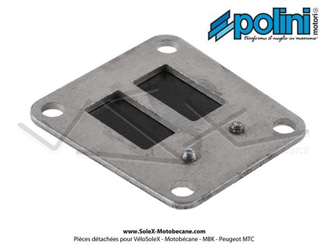 Clapet Joints Polini Pour Peugeot Sp Mvl Spx Rcx Partie