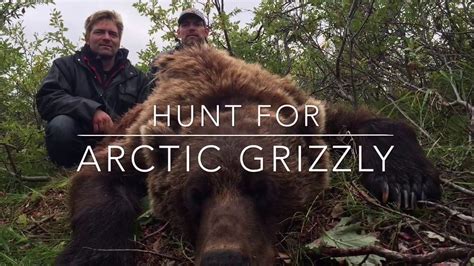 Guided Arctic Grizzly Bear Hunts Alaska Arctic Adventures Youtube