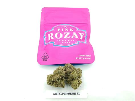 Pink Rozay Wietkopenonline