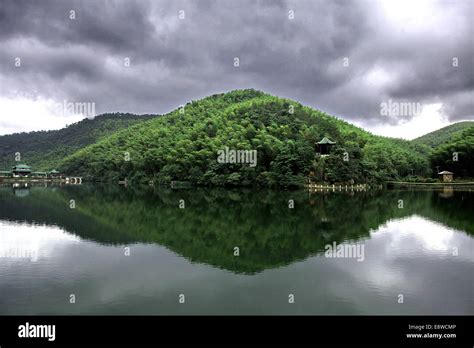 Anji bamboo forest hi-res stock photography and images - Alamy