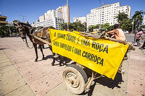 BH prefeito Kalil sanciona lei que proíbe carroças e põe em Geral