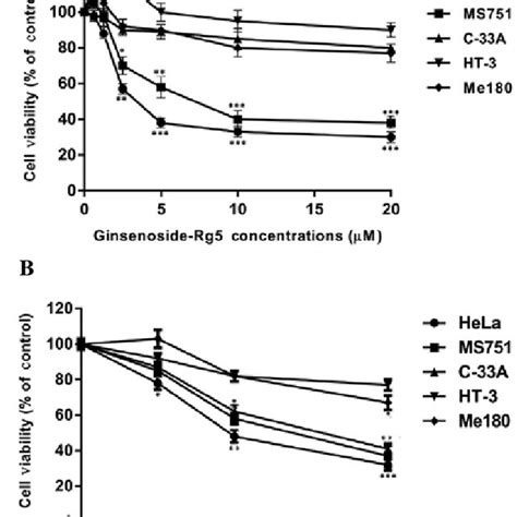 Ginsenoside Rg5 Inhibits The Growth Of Cervical Cancer Cells The Human