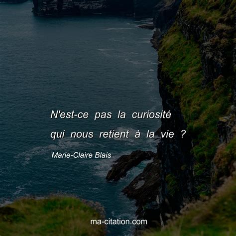 Citations Inspirantes Pour Stimuler Votre Curiosit