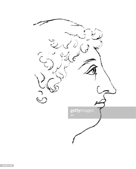 Typical Nose Form Side View High-Res Vector Graphic - Getty Images