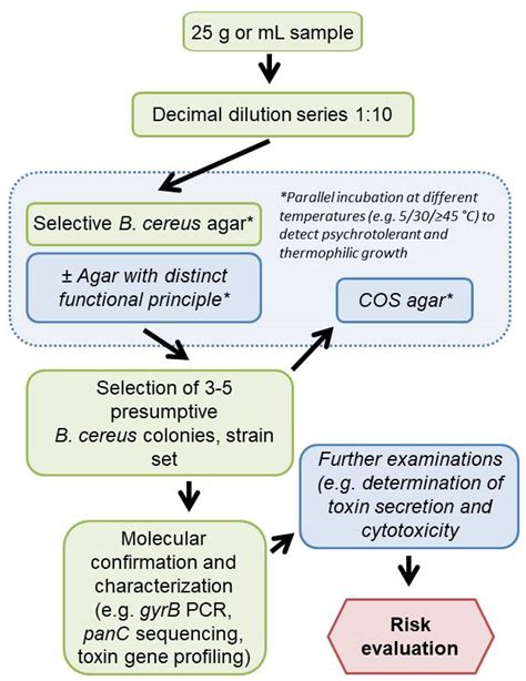 Performance Testing Of Bacillus Cereus Chromogenic Agar Media For