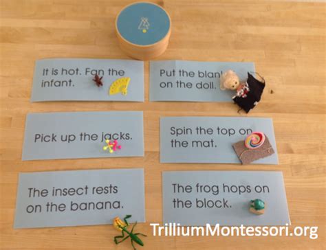 The Montessori Blue Series For Reading Trillium Montessori