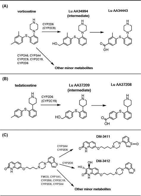 Using Population Pharmacokinetic Analyses Of Drugs Metabolized By