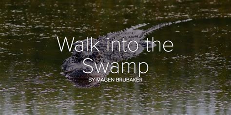 Walk Into The Swamp