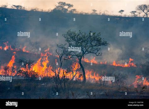 Veld fire hi-res stock photography and images - Alamy