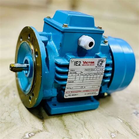 Victor Ie2 Foot Cum Flange Mounted Motor 2 Hp At Rs 4000 In New Delhi