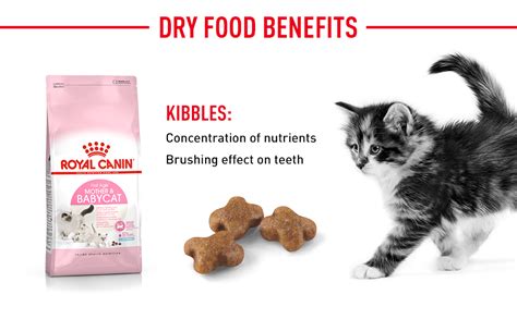 Royal Canin Feline Health Nutrition Mother And Babycat 400 Gm Dry Cat N