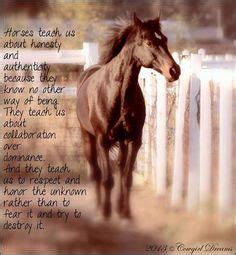 73 Best Inspirational Horse Quotes ideas | horse quotes, inspirational ...