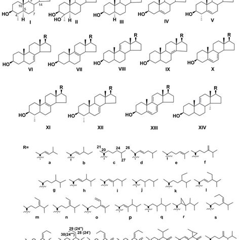 An Example Of Glycoconjugated Sterols From Higher Plants Download