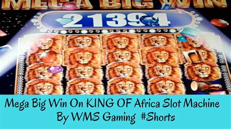 Shorts MEGA BIG WIN ON KING OF AFRICA SLOT MACHINE By WMS Gaming