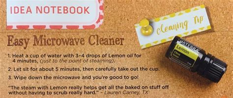 Pin By PlantEmpoweredLife Nickie Rob On Cleaning With Essential Oils