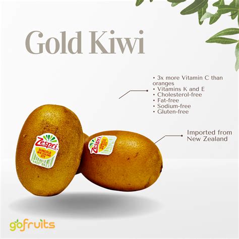 Kiwi Gold Zespri L Pcs Gofruits Online Premium Fruit Malaysia